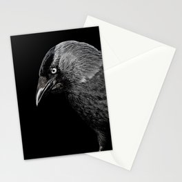 crow Stationery Cards