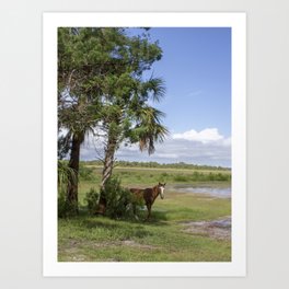 Wild Horse roams free on Cumberland Island, GA Art Print | Natural, Southern, Horse, Rural, Free, Wildhorse, Bluesky, Photograph, Photo, Coastal 