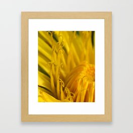 Lonely Dandelion Abstract Framed Art Print