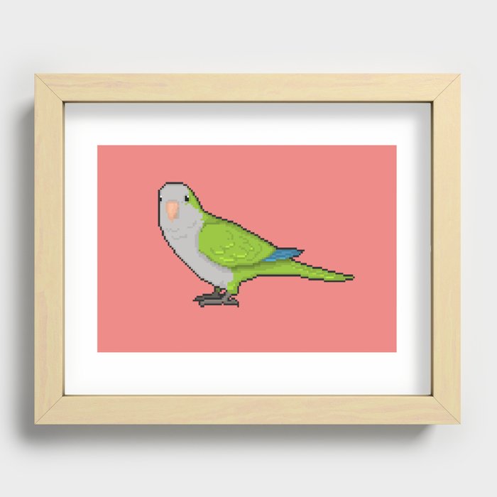 Pixel / 8-bit Parrot: Green Quaker Parrot Recessed Framed Print