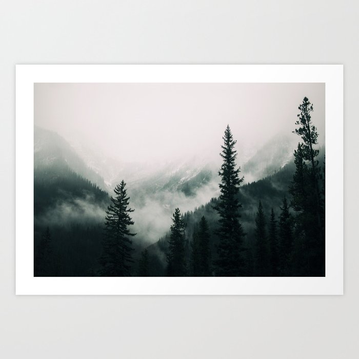 Over the Mountains and trough the Woods -  Forest Nature Photography Art Print