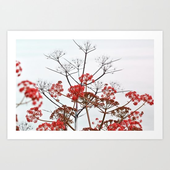 WILDFLOWERS in RED Art Print