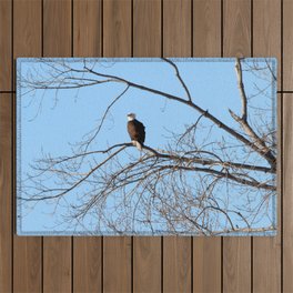 Single Bald Eagle on a Winters Day Outdoor Rug