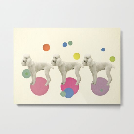 Oodles of Poodles Metal Print
