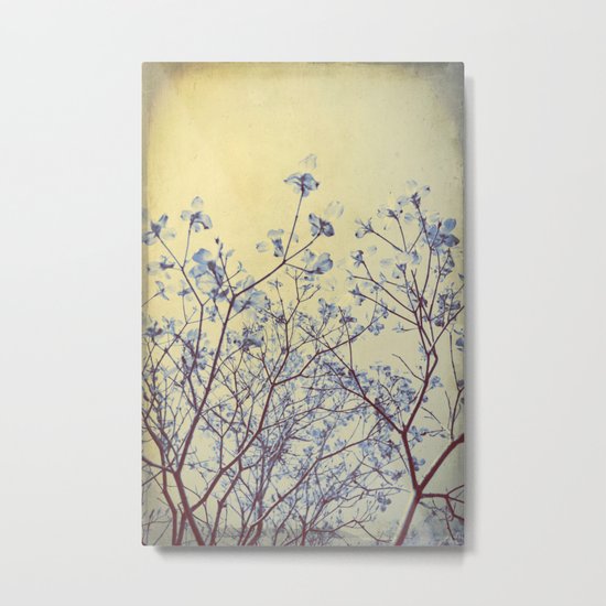 Dogwood Tree in Flower -- Duotone Indigo and Burnished Bronze with Antique Edges Metal Print