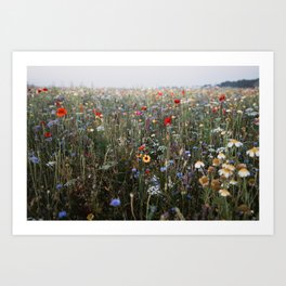 Dreamy wildflowerfield | photo print of a field full of wildflowers Art Print