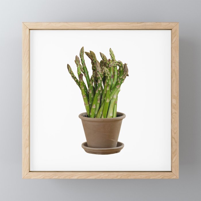 Asparagus flowers Framed Mini Art Print