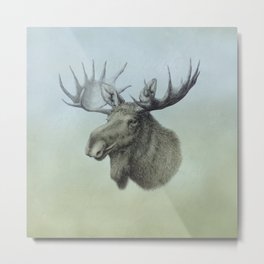 Moose, Elch, Elg Metal Print | Crown, Portrait, Moose, Drawing, Graphite, Head, Animal, Wildlife, Alces, Digital 