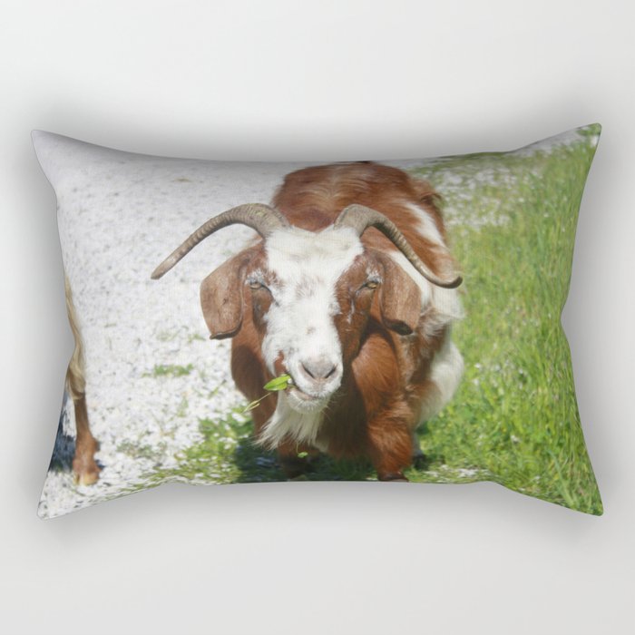 Whimsical Portrait of a Horned Goat Grazing Rectangular Pillow