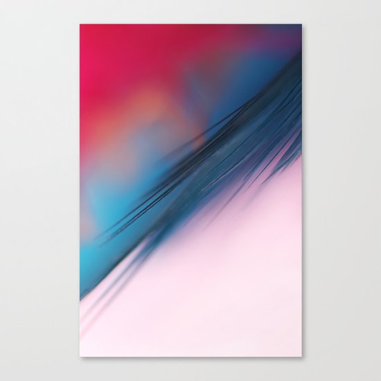 Feather Fiesta Canvas Print