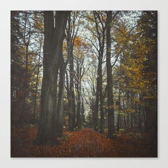 fall alley Canvas Print