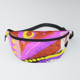 Paisley Perspective Fanny Pack