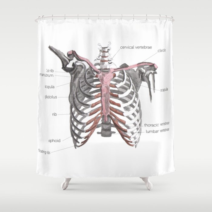 Ribcage Shower Curtain