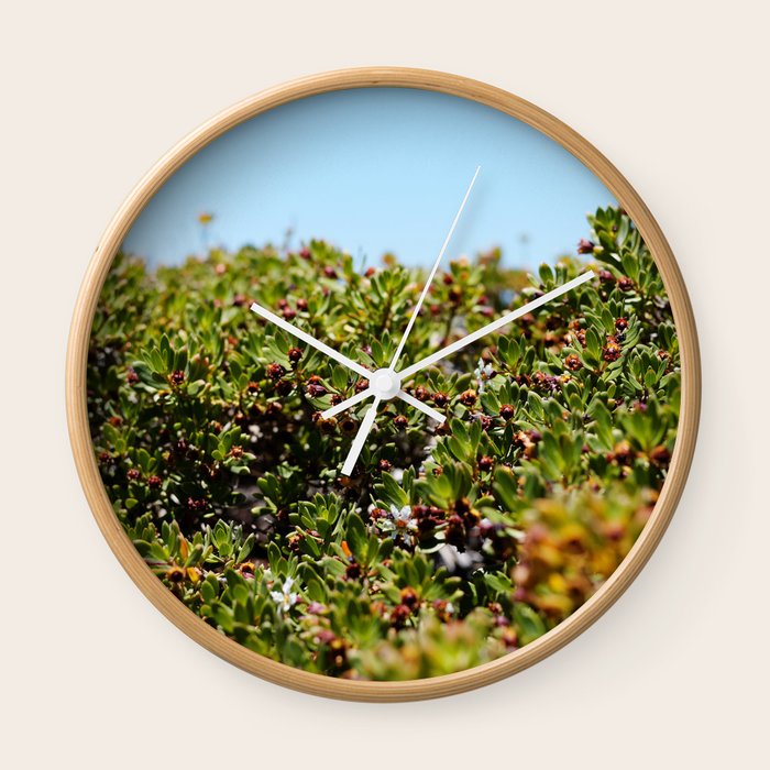 Coastal Wall Clock