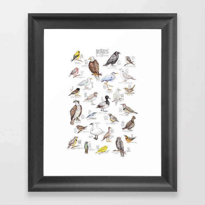 Birds of the Pacific Northwest Framed Art Print