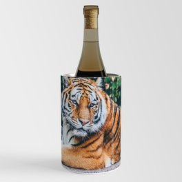 Majestic Tiger Sitting On A Rock Photography Wine Chiller