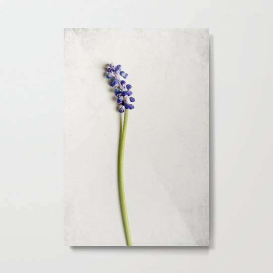 wall flower Metal Print