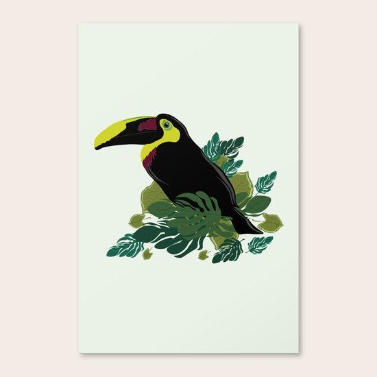Toucan Canvas Print