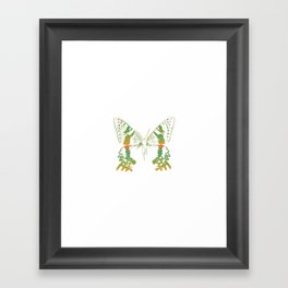 Moth - Moths - Insect Framed Art Print