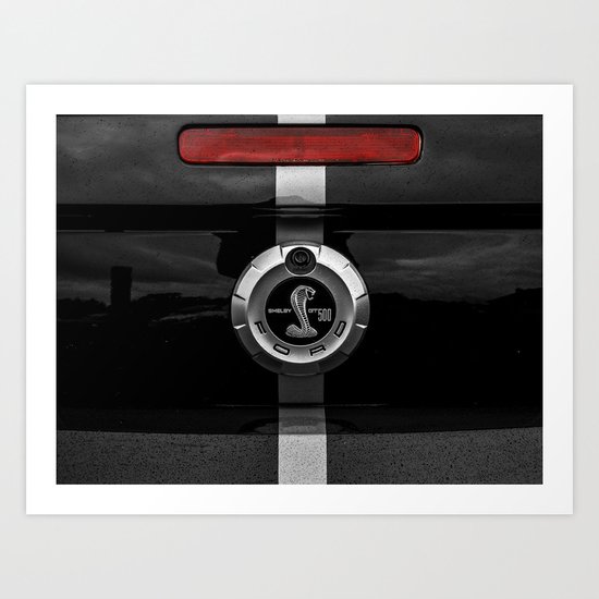 Shelby Art Print