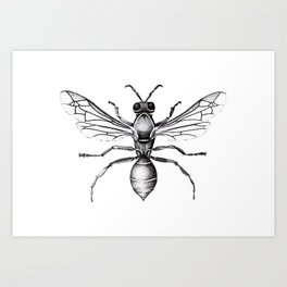B&W Wasp Art Print