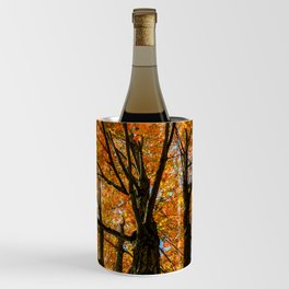 Colorful Maple of New England. Wine Chiller