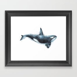 Orca Framed Art Print