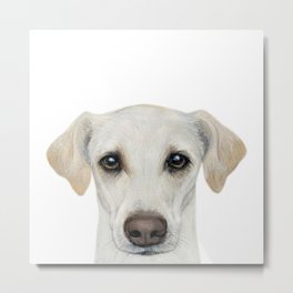 Rescue Dog series, lab mix, Waffle Metal Print | Rescuedog, Animal, Mixdog, Original, White, Acrylic, Cute, Graphic, Gift, Shelterdog 