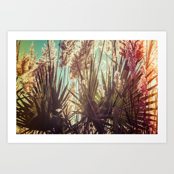 Golden Hour Glow - Fan Palm Leaves and Wild Reed Canes Art Print