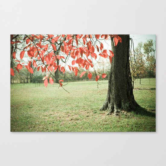 Autumn Red Canvas Print
