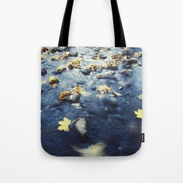 Autumn Leaves, Color Film Photo, Analog Tote Bag