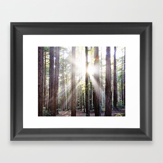 Sunburst Through the Redwoods Framed Art Print