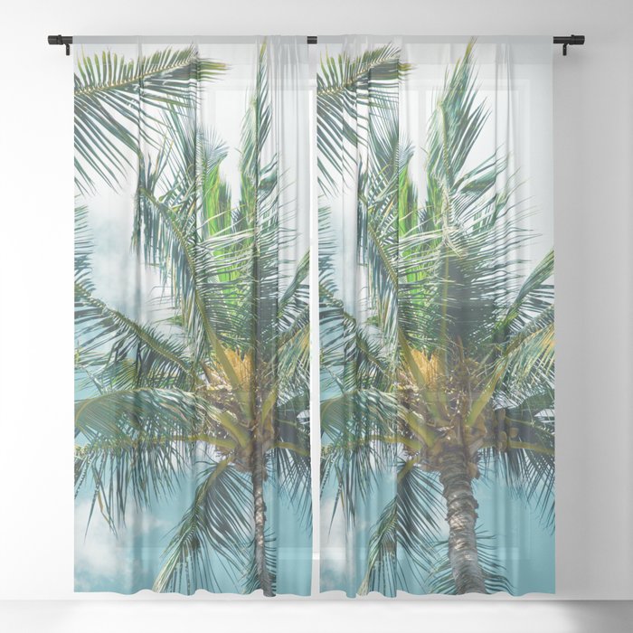 Niu Ololani Coconut Tree Hawaii Tropical Palm Trees Kaluaihākōkō Sheer Curtain