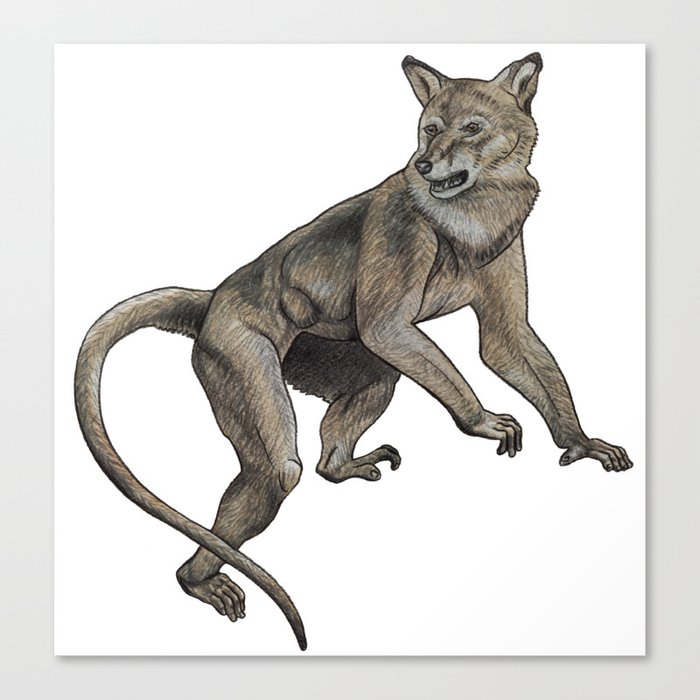 Wolf Monkey Canvas Print