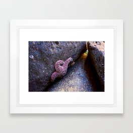 Stuck in the Middle With You Framed Art Print