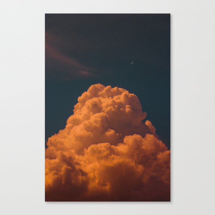 this one's for you Canvas Print
