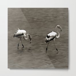 Strutt Like A Juvenile Artistic Flamingo In Grey Metal Print | Flamingo, Flamingoes, Flamingopink, Pinkflamingoparty, Flamingoart, Tropical, Acrylic, Flamingolove, Wildlifeart, Naturelovers 