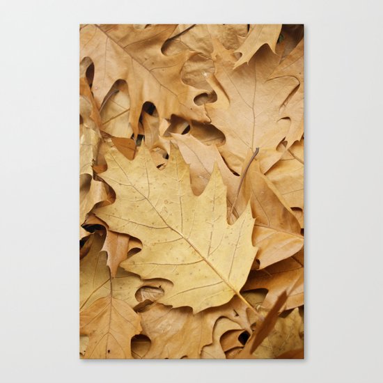 Brown fallen leaves Canvas Print