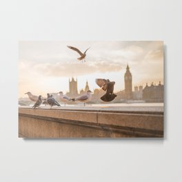 Doves Metal Print