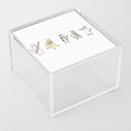 Meowtet Acrylic Box