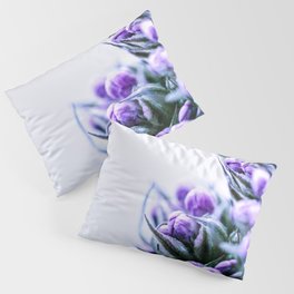Floral Photography "LIGHTHEARTED" Pillow Sham