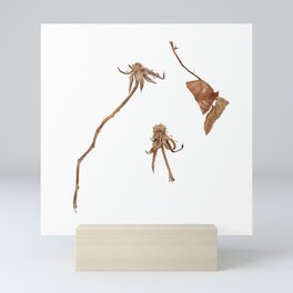 Dried Stems Mini Art Print