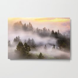 Misty Mount Tamalpais State Park Metal Print | Mysticalforest, Digital, Longexposure, Color, Mistytrees, Sanfranciscofog, Surreal, Bayareaart, Photo, Sanfrancisco 