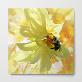 Busy Bumble Bee Metal Print | Sunglow, Landscape, Bumblebee, Oct17Cb, Photo, Hdr, Macro, Sunlight, Petals, Season 