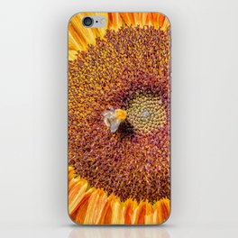 Close up view of a Sunflower bloom with a bee collecting pollen iPhone Skin