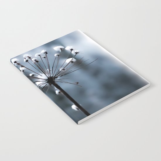 in the snow Notebook