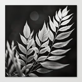 Black and White Minimalist Leaves Canvas Print