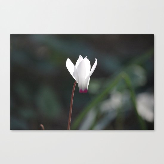 Guardian Angel Canvas Print