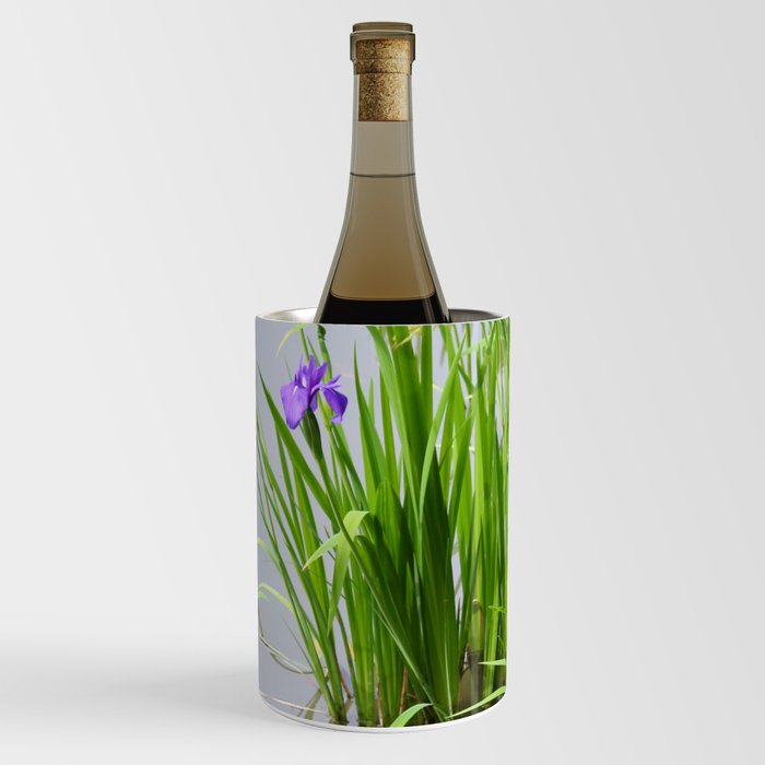 Water Iris flower in Kyoto Wine Chiller