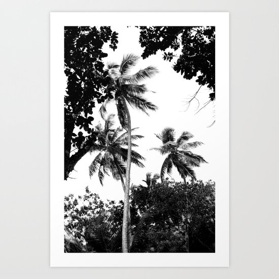 Tall trees Art Print